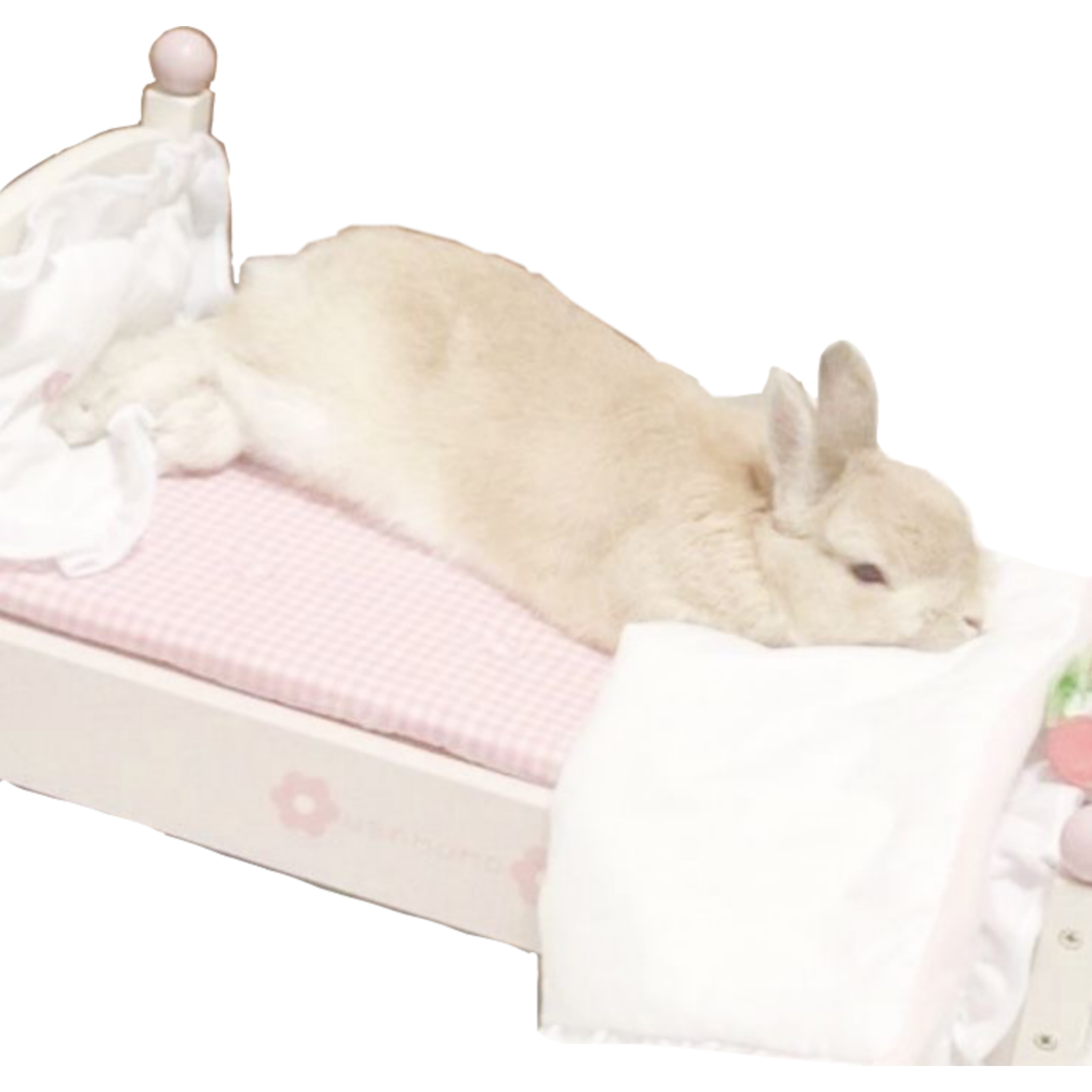 Sleepy bunny mascot