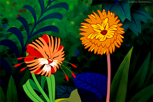 tigerflower kiss